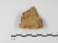 登錄號:F0006809藏品圖，第1張