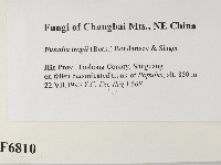 登錄號:F0006810藏品圖，第2張