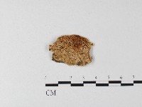 登錄號:F0006810藏品圖，第1張