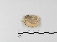 登錄號:F0006810藏品圖，第3張