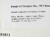 登錄號:F0006811藏品圖，第2張