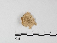 登錄號:F0006811藏品圖，第1張