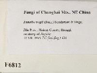 登錄號:F0006812藏品圖，第2張