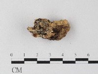 登錄號:F0006812藏品圖，第1張