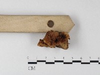 登錄號:F0006813藏品圖，第3張