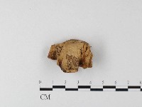 登錄號:F0006813藏品圖，第4張