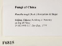 登錄號:F0006815藏品圖，第2張