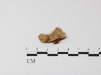 登錄號:F0006815藏品圖，第1張