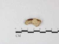 登錄號:F0006815藏品圖，第3張