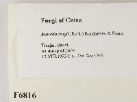 登錄號:F0006816藏品圖，第2張