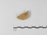 登錄號:F0006816藏品圖，第3張