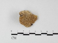 登錄號:F0006817藏品圖，第1張