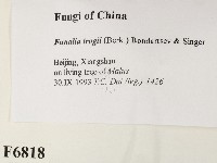 登錄號:F0006818藏品圖，第2張