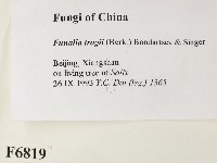 登錄號:F0006819藏品圖，第2張