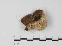 登錄號:F0006819藏品圖，第1張