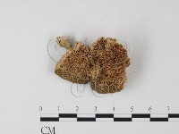 登錄號:F0006819藏品圖，第3張