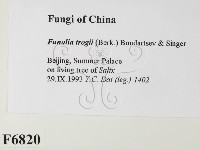 登錄號:F0006820藏品圖，第2張