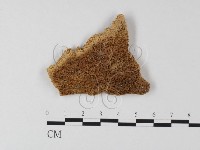 登錄號:F0006820藏品圖，第1張