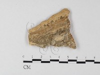 登錄號:F0006820藏品圖，第3張