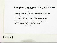 登錄號:F0006821藏品圖，第2張