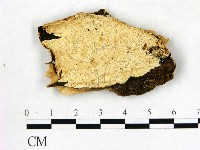 登錄號:F0006821藏品圖，第1張