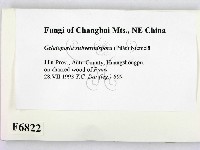 登錄號:F0006822藏品圖，第2張