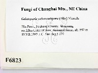 登錄號:F0006823藏品圖，第2張