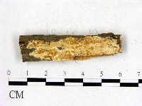 登錄號:F0006823藏品圖，第1張