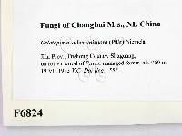 登錄號:F0006824藏品圖，第2張