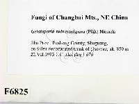 登錄號:F0006825藏品圖，第2張