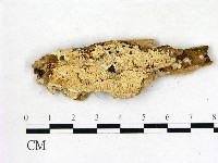 登錄號:F0006825藏品圖，第1張