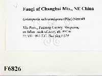 登錄號:F0006826藏品圖，第2張