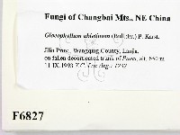 登錄號:F0006827藏品圖，第2張