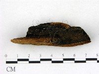 登錄號:F0006828藏品圖，第3張