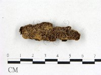 登錄號:F0006829藏品圖，第1張