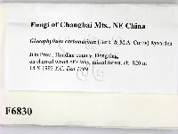 登錄號:F0006830藏品圖，第2張