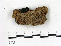 登錄號:F0006830藏品圖，第1張