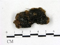 登錄號:F0006830藏品圖，第3張