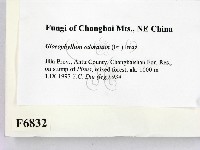 登錄號:F0006832藏品圖，第2張