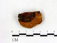 登錄號:F0006832藏品圖，第3張