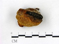 登錄號:F0006833藏品圖，第3張