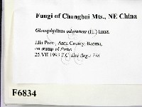 登錄號:F0006834藏品圖，第2張