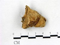 登錄號:F0006834藏品圖，第1張