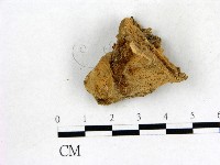 登錄號:F0006834藏品圖，第3張