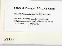 登錄號:F0006835藏品圖，第2張