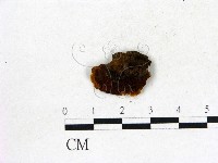 登錄號:F0006835藏品圖，第3張