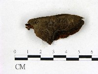 登錄號:F0006836藏品圖，第3張