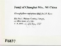 登錄號:F0006837藏品圖，第2張