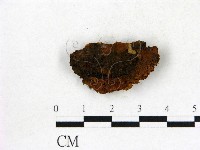 登錄號:F0006837藏品圖，第3張