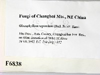 登錄號:F0006838藏品圖，第2張